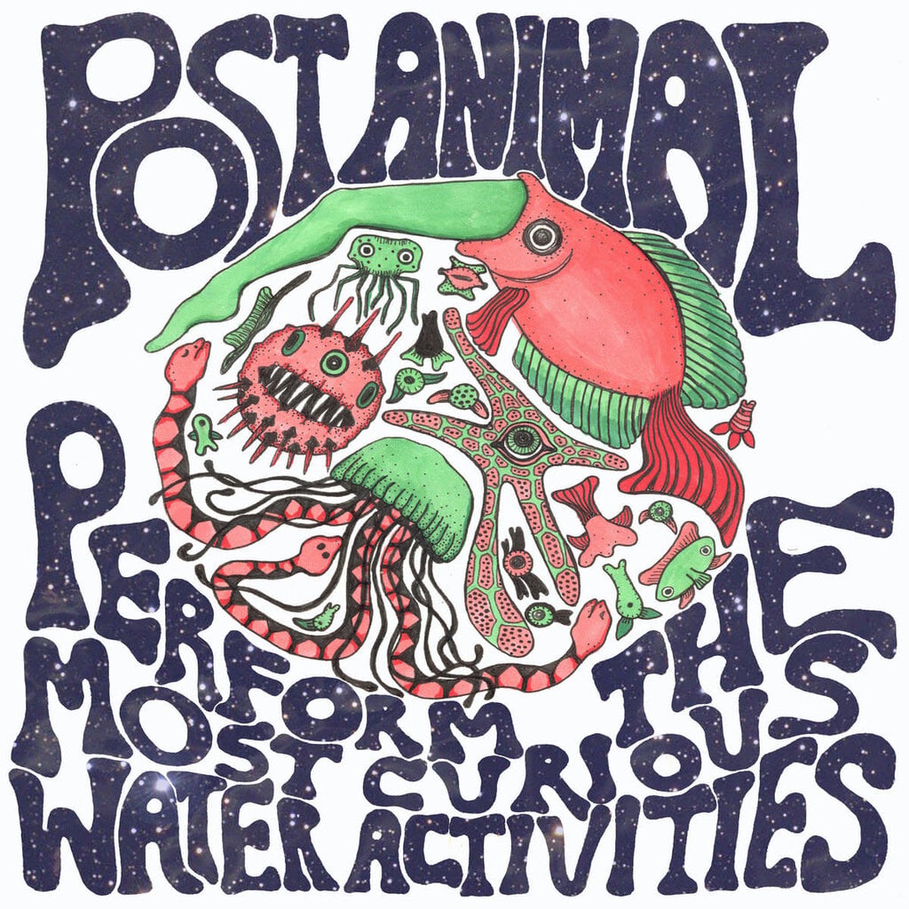 Post Animal / Perform the most Curious Water Activities