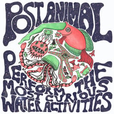 Post Animal / Perform the most Curious Water Activities