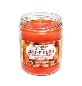 Smoke Odor Smoke Odor 13oz. Candle - Pumpkin & Spice