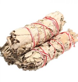 White Sage Smudge Stick 4"