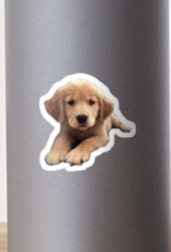 Golden Retriever Puppy Sticker