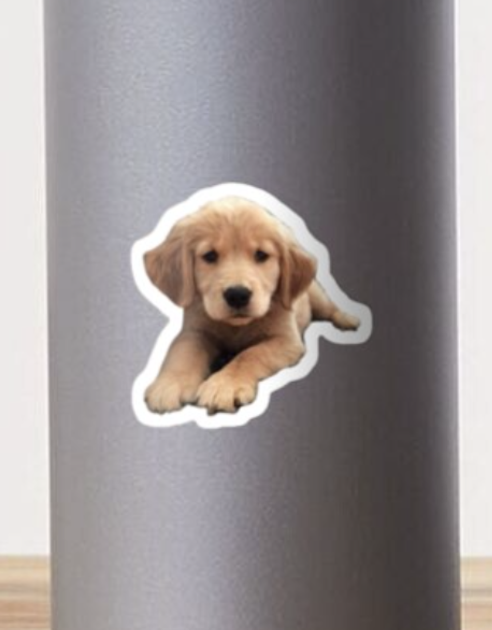 Golden Retriever Puppy Sticker