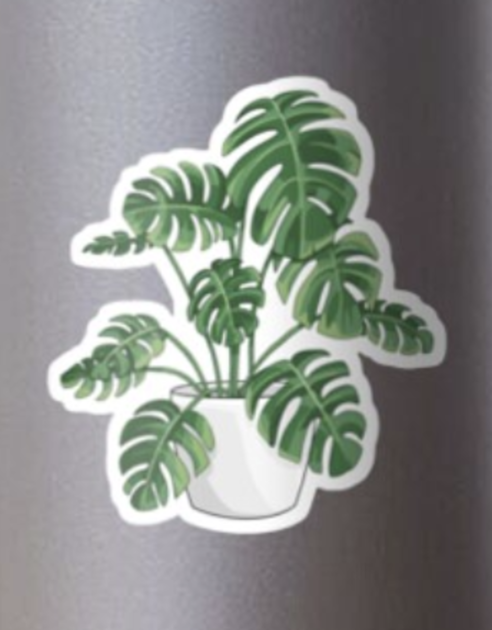 Monstera Plant Sticker