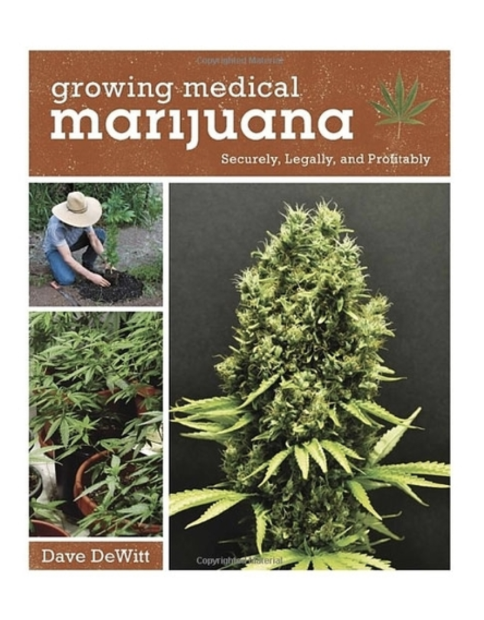 Growing Medical Marijuana by Dave Dewitt