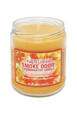 Smoke Odor Smoke Odor 13oz. Candle - Fall N Leaves