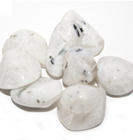 Tumbled - Blue Moonstone