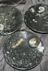 3D Fossil Ammonite Dish - Round/Oval