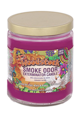 Smoke Odor Smoke Odor 13oz. Candle - Woodstock