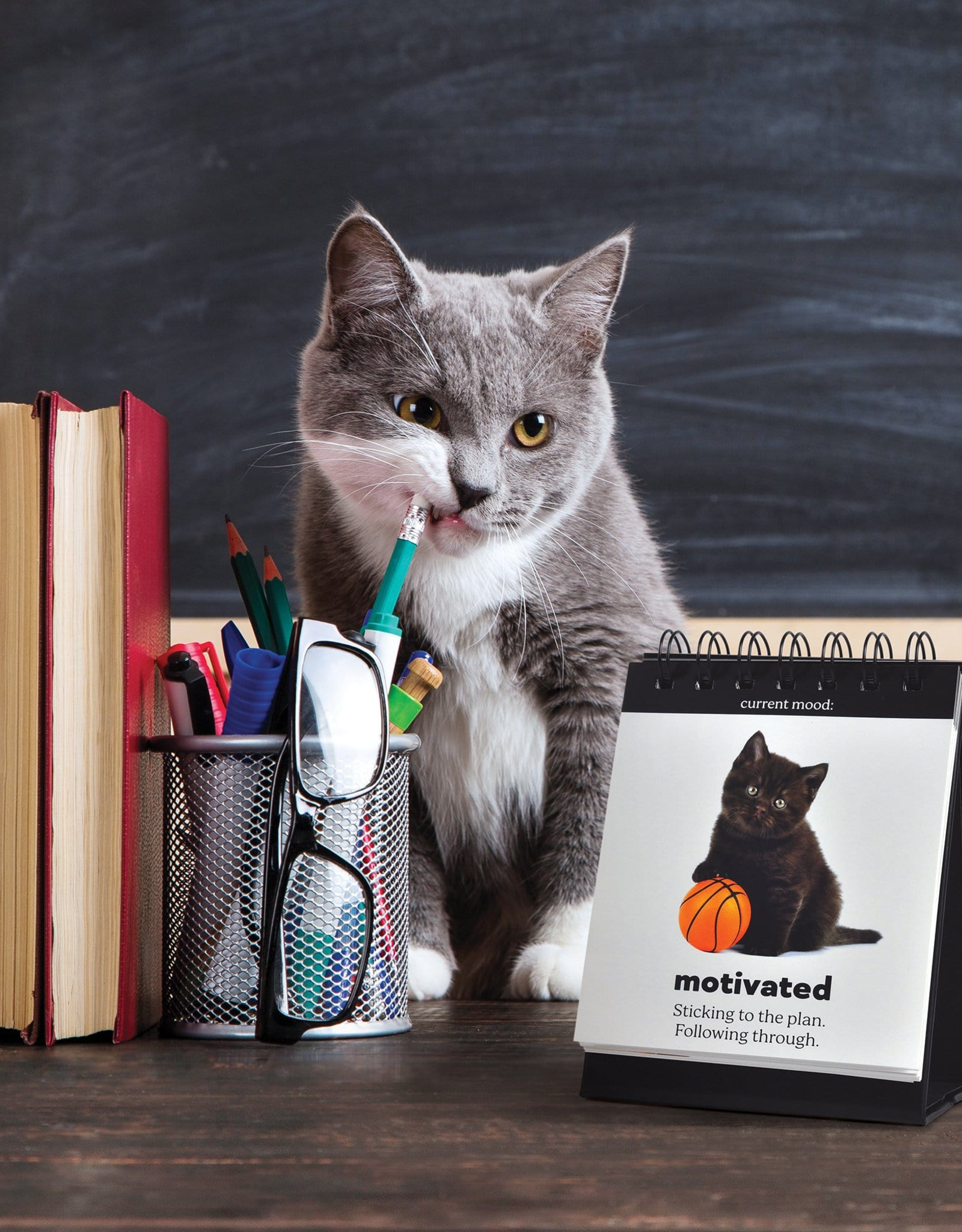 Daily Cattitudes - Desk Flipchart