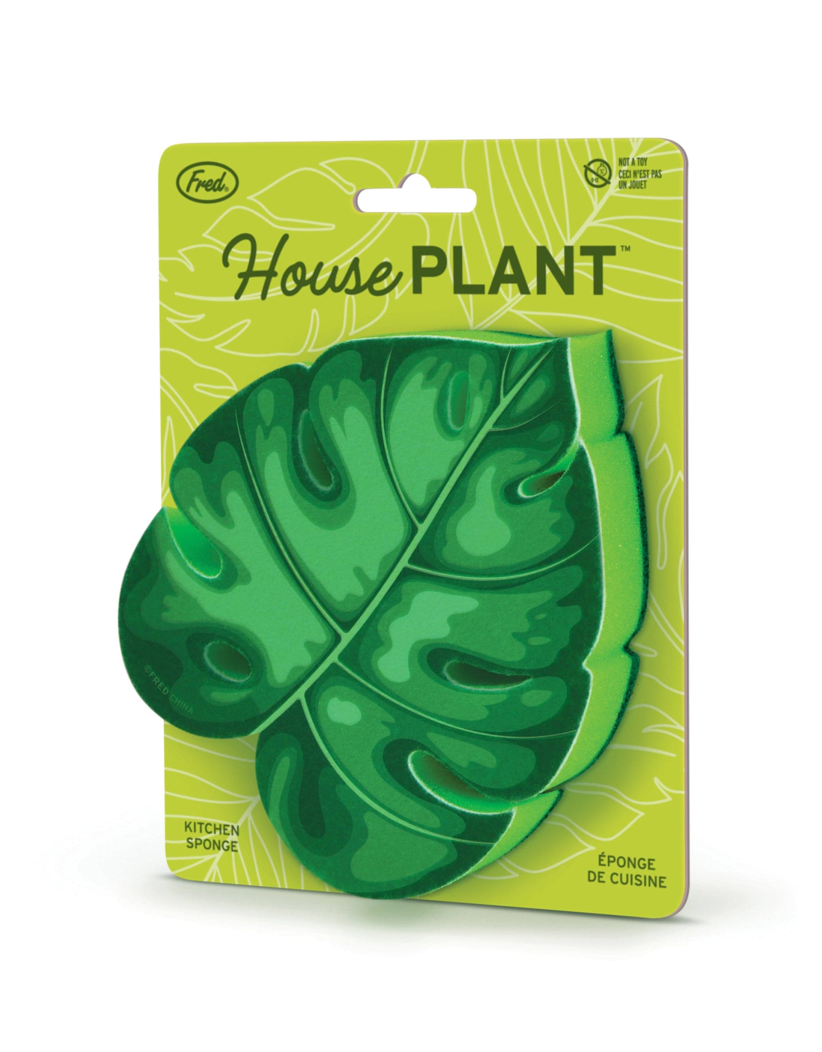 House Plant Sponge