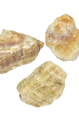 Pineapple Calcite - Decorator