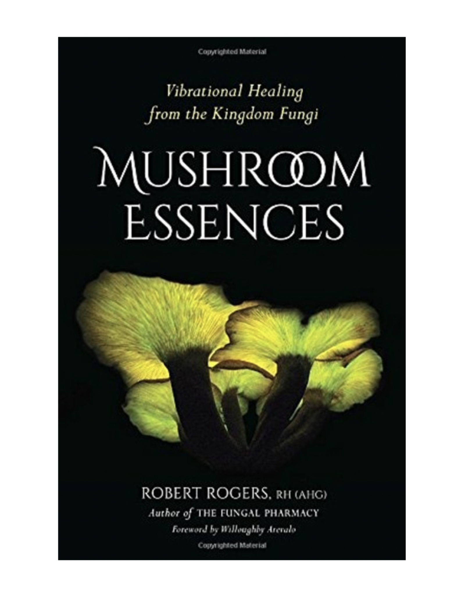 Mushroom Essences: Vibrational Healing from the Kingdom Fungi by Robert Rogers