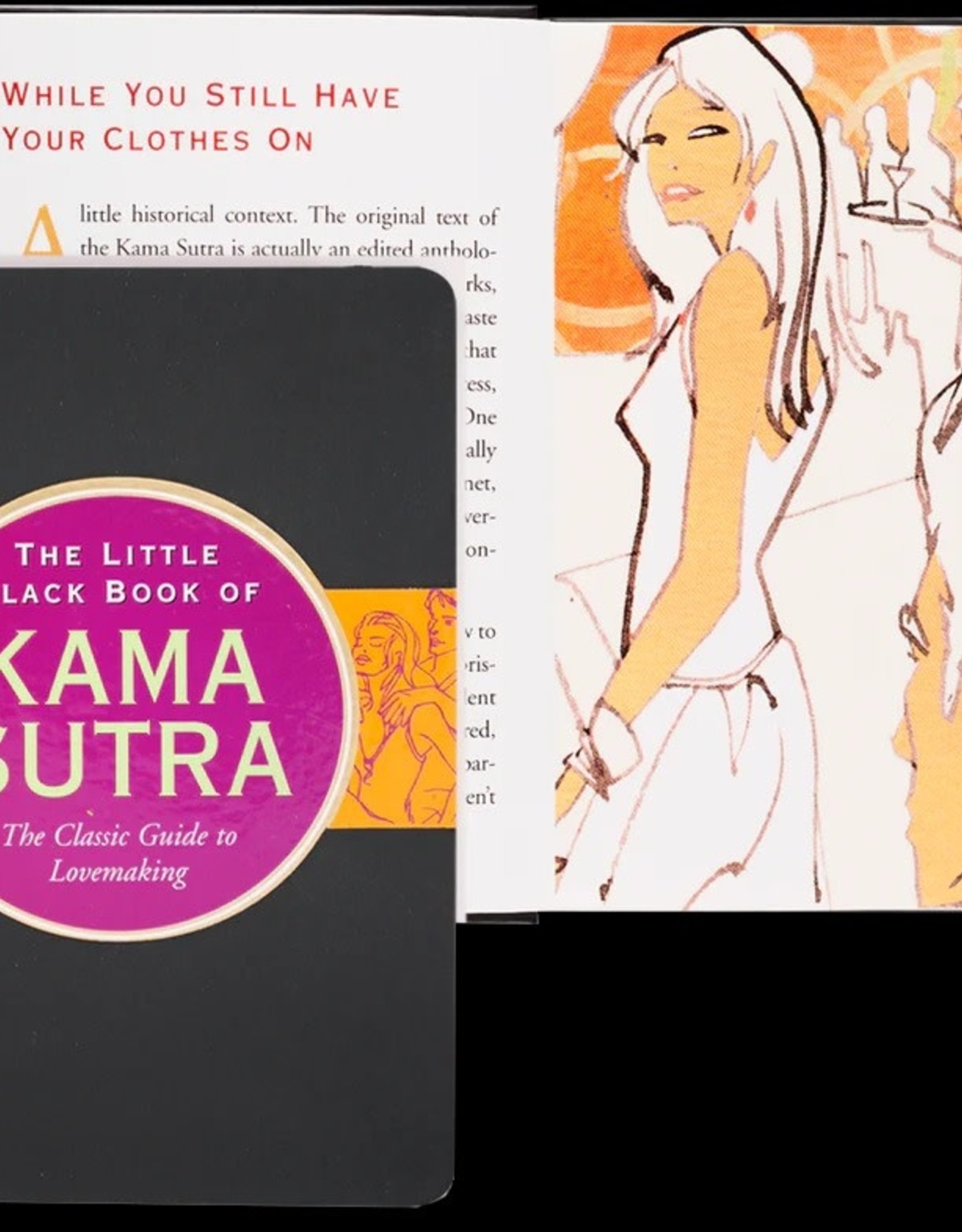 The Little Black Book of Kama Sutra