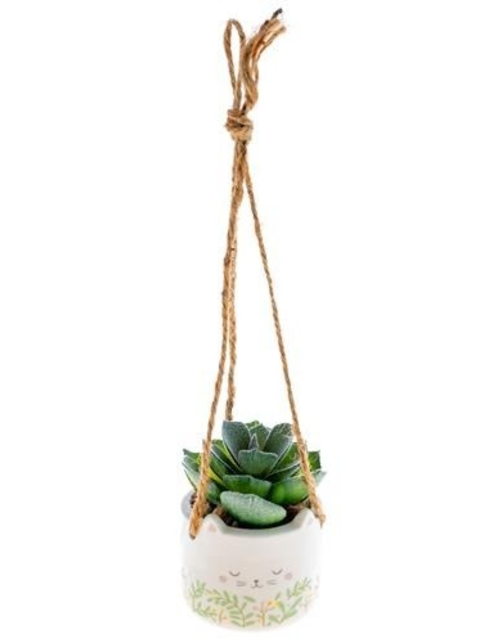 Shaped Hanging Succulent Pot - Cat