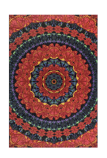 3D Blooming Butterfly Mandala Tapestry 60"x90" - Art by Dina June Toomey