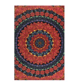 3D Blooming Butterfly Mandala Tapestry 60"x90" - Art by Dina June Toomey