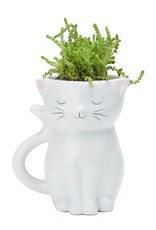 Sweetie Cat Planter