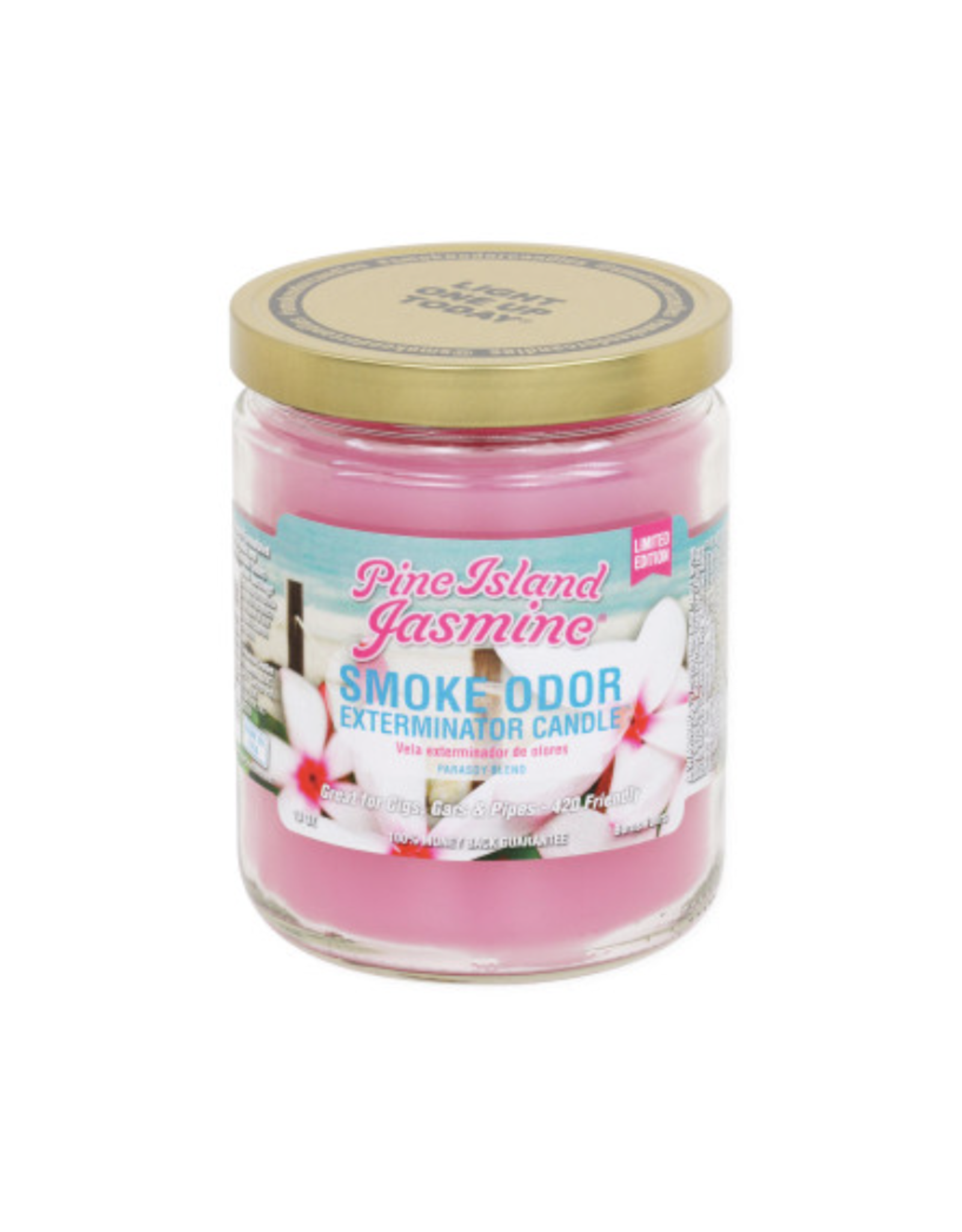 Smoke Odor 13oz. Candle - Pine Island