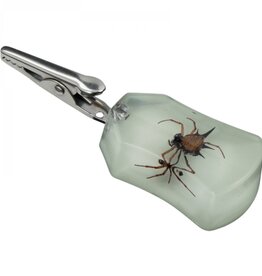 Glow-in-the-Dark Spider Clip