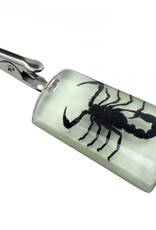 Glow-in-the-Dark Stand-Up Scorpion Clip