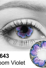 Bloom Violet Contact Lenses