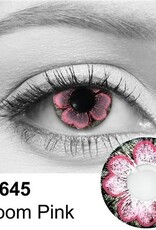 Bloom Pink Contact Lenses