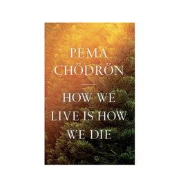 How We Live Is How We Die - Pema Chodron