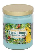 Smoke Odor Smoke Odor 13oz. Candle - Sparkling Juniper