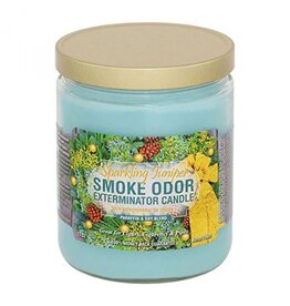 Smoke Odor Smoke Odor 13oz. Candle - Sparkling Juniper