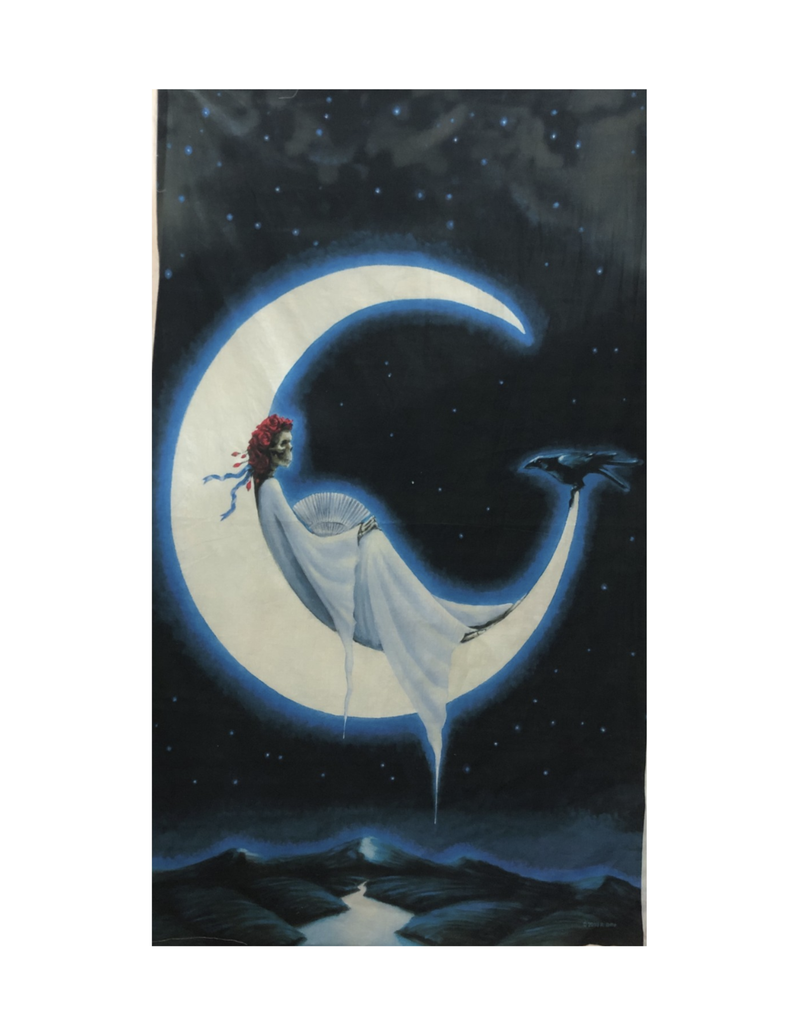 Sleeper Moon Heady Art Print Mini Tapestry 30"x45" - Artwork by Richard Biffle