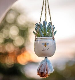 Hanging Succulent Pot - Bee Kind