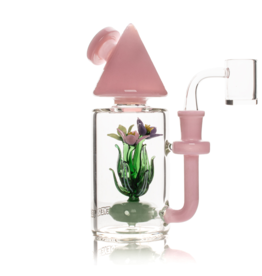 Red Eye Glass 7" Terrarium Rig by Red Eye Glass