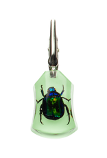 GEAR Premium Glow-in-the-Dark Chafer Clip