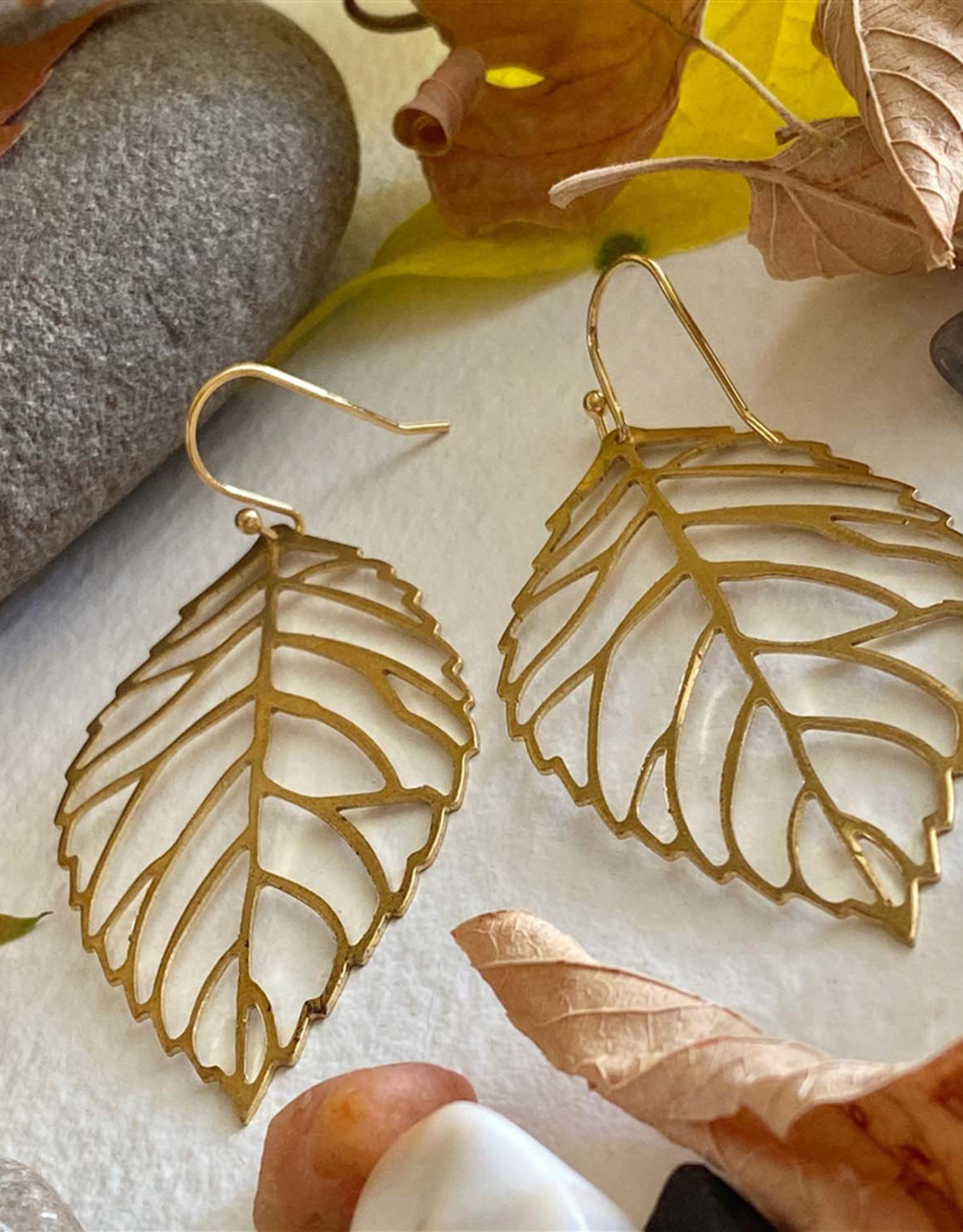 "Deciduous" Leaf Skeleton Earrings in Raw Brass