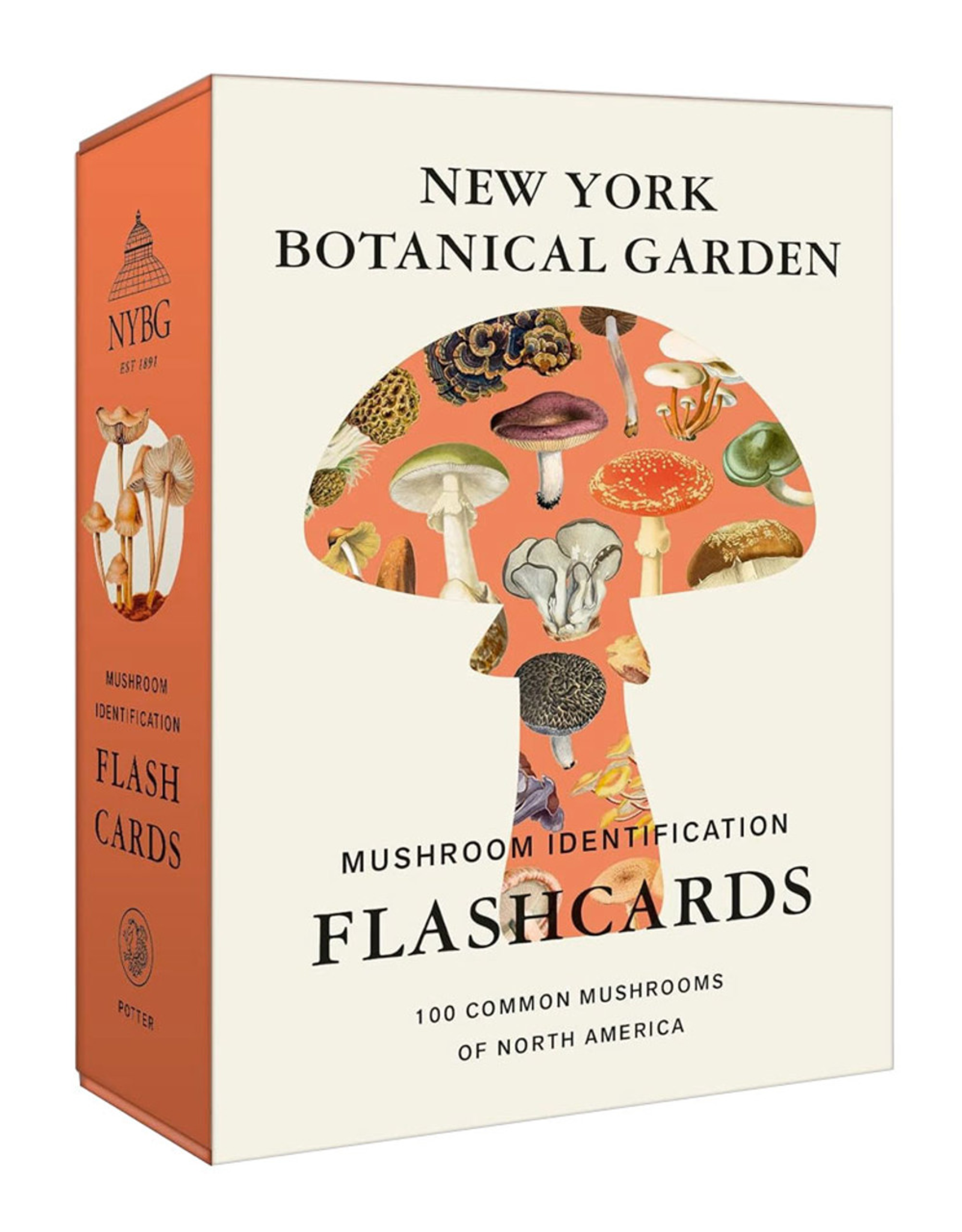 New York Botanical Garden Mushroom Identification Flashcards: 100 Common Mushrooms of North America