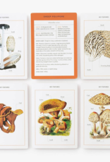New York Botanical Garden Mushroom Identification Flashcards: 100 Common Mushrooms of North America