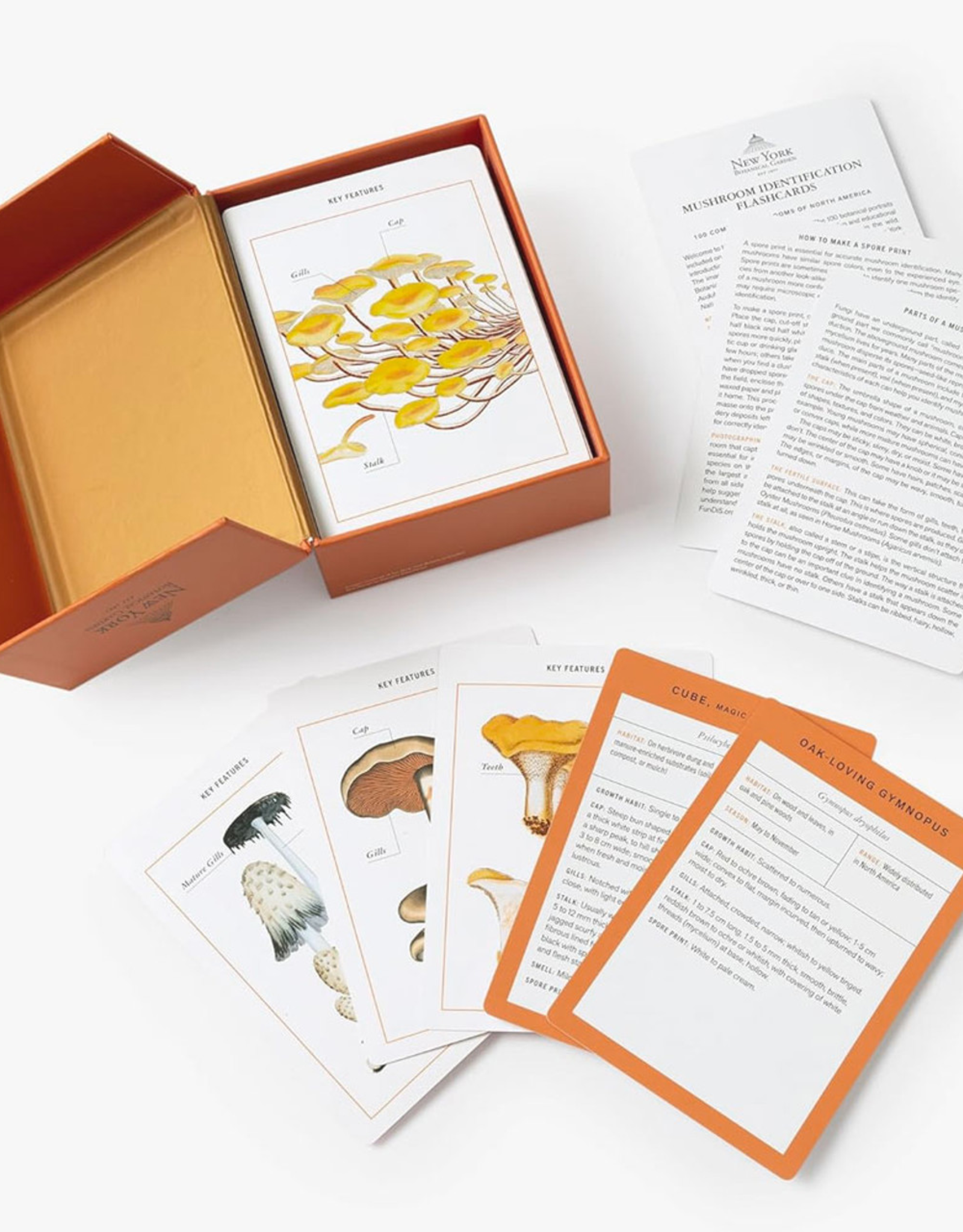 New York Botanical Garden Mushroom Identification Flashcards: 100 Common Mushrooms of North America