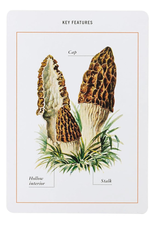 New York Botanical Garden Mushroom Identification Flashcards: 100 Common Mushrooms of North America