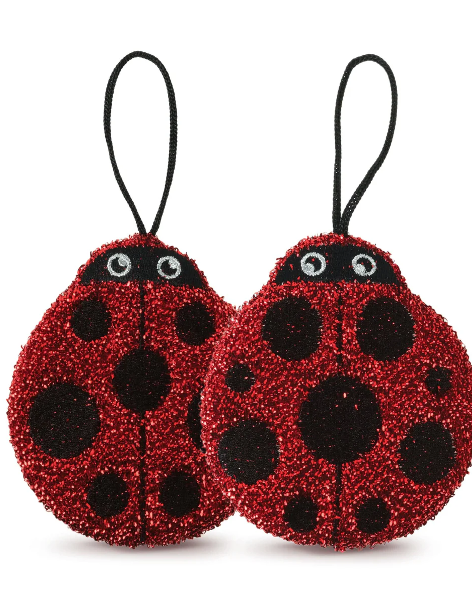 Cleaning Ladies Kitchen Sponges (2 Pack)