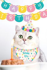 Birthday Kitty - Cat Birthday Kit