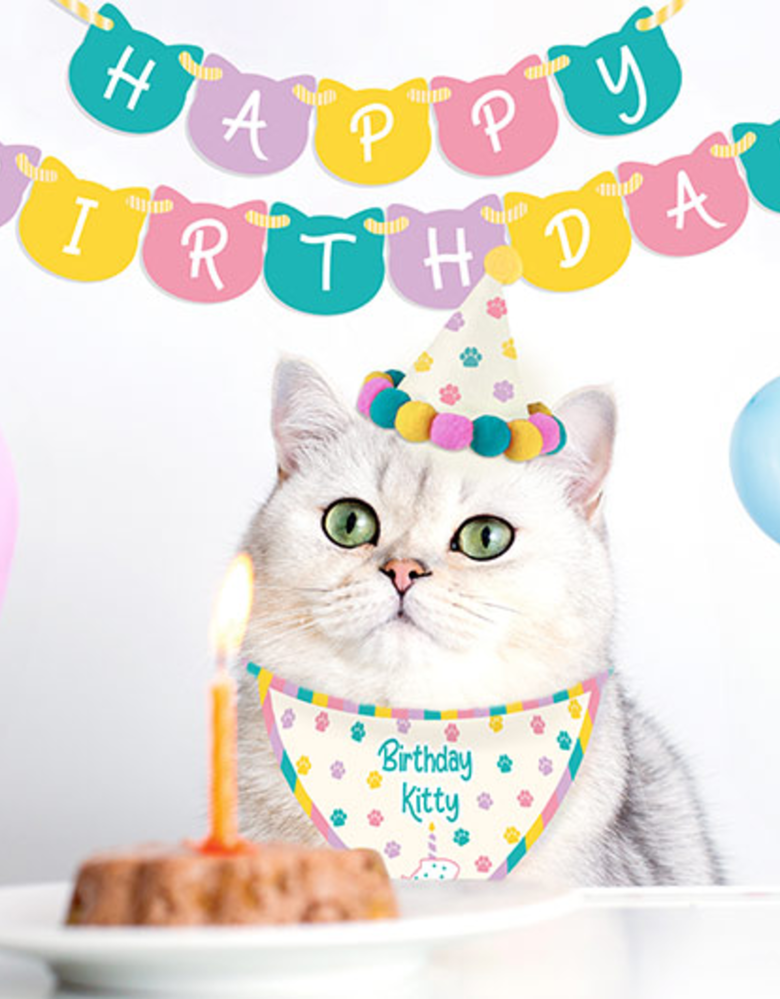 Birthday Kitty - Cat Birthday Kit