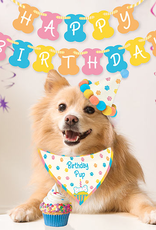 Birthday Pup - Dog Birthday Kit