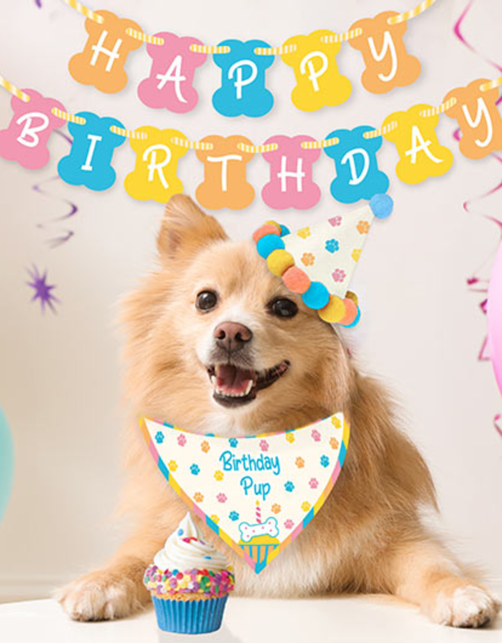 Birthday Pup - Dog Birthday Kit