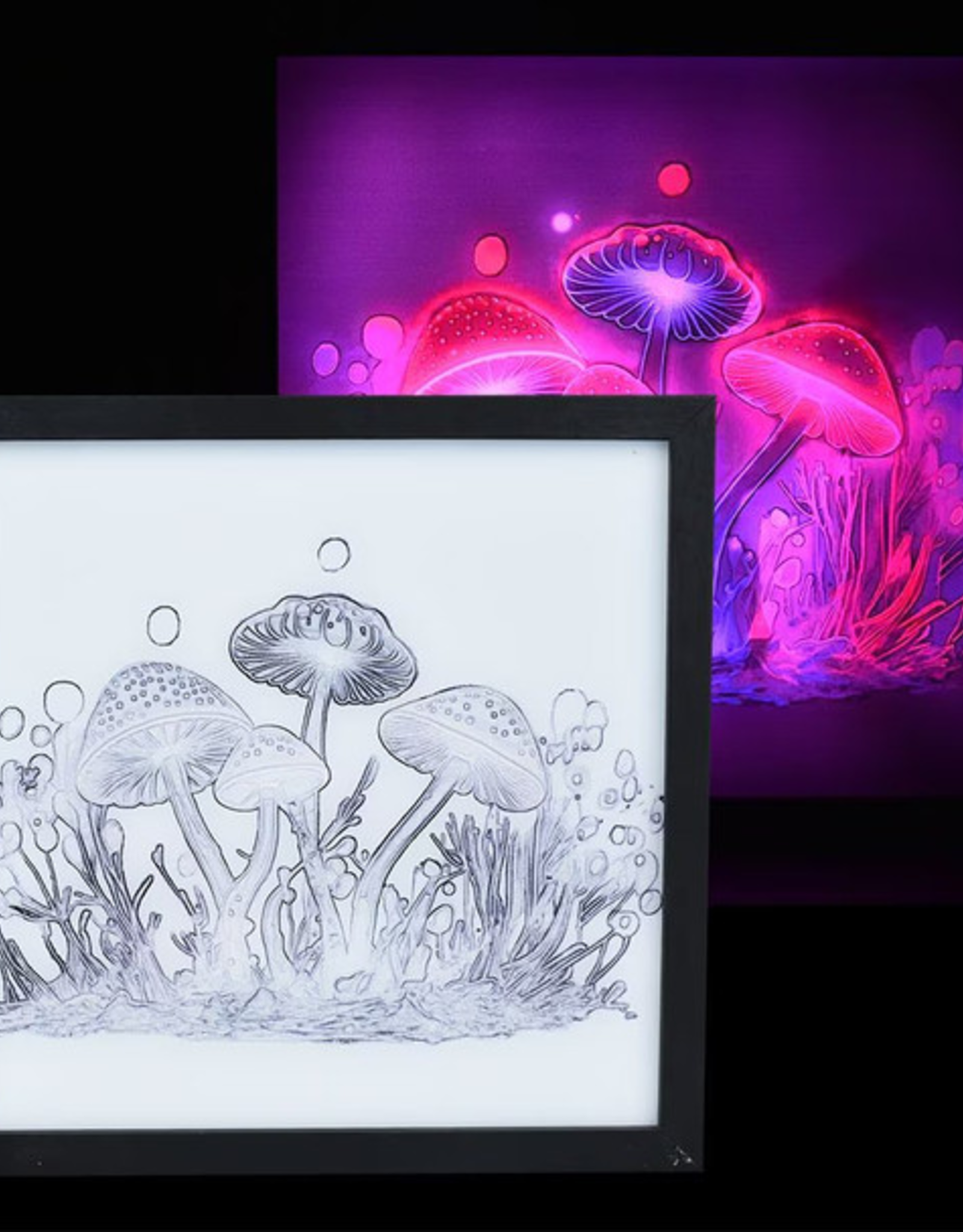 Mushroom Motion LED Light Box