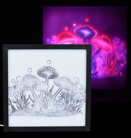 Mushroom Motion LED Light Box