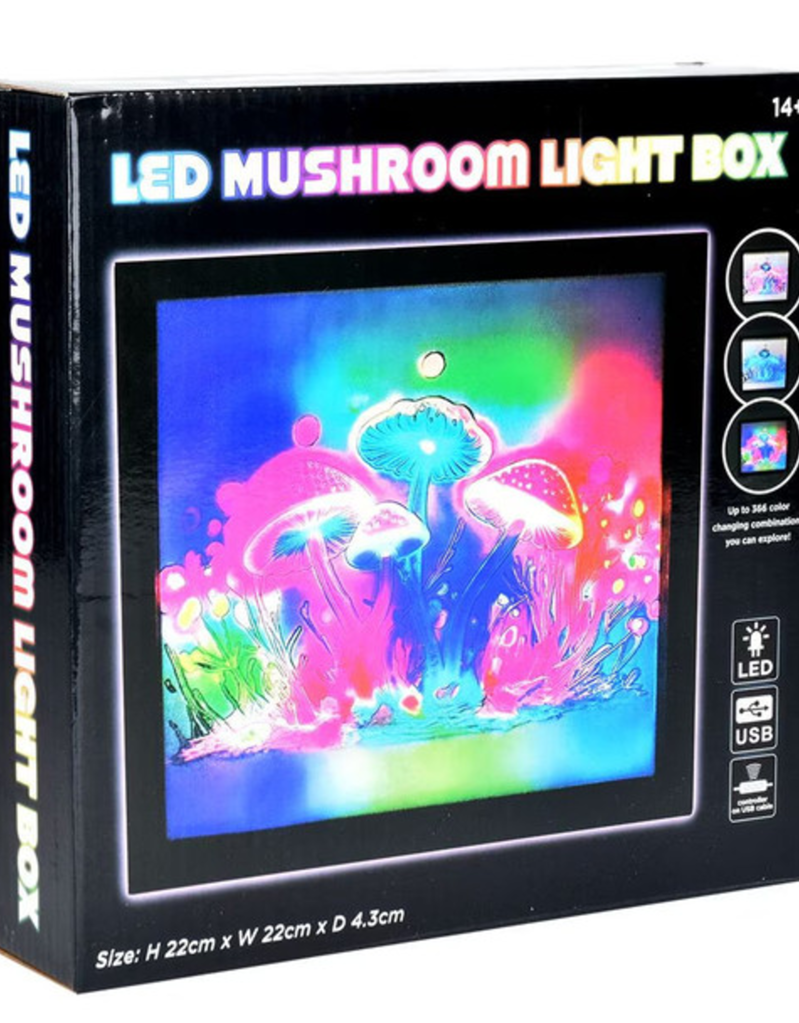 Mushroom Motion LED Light Box