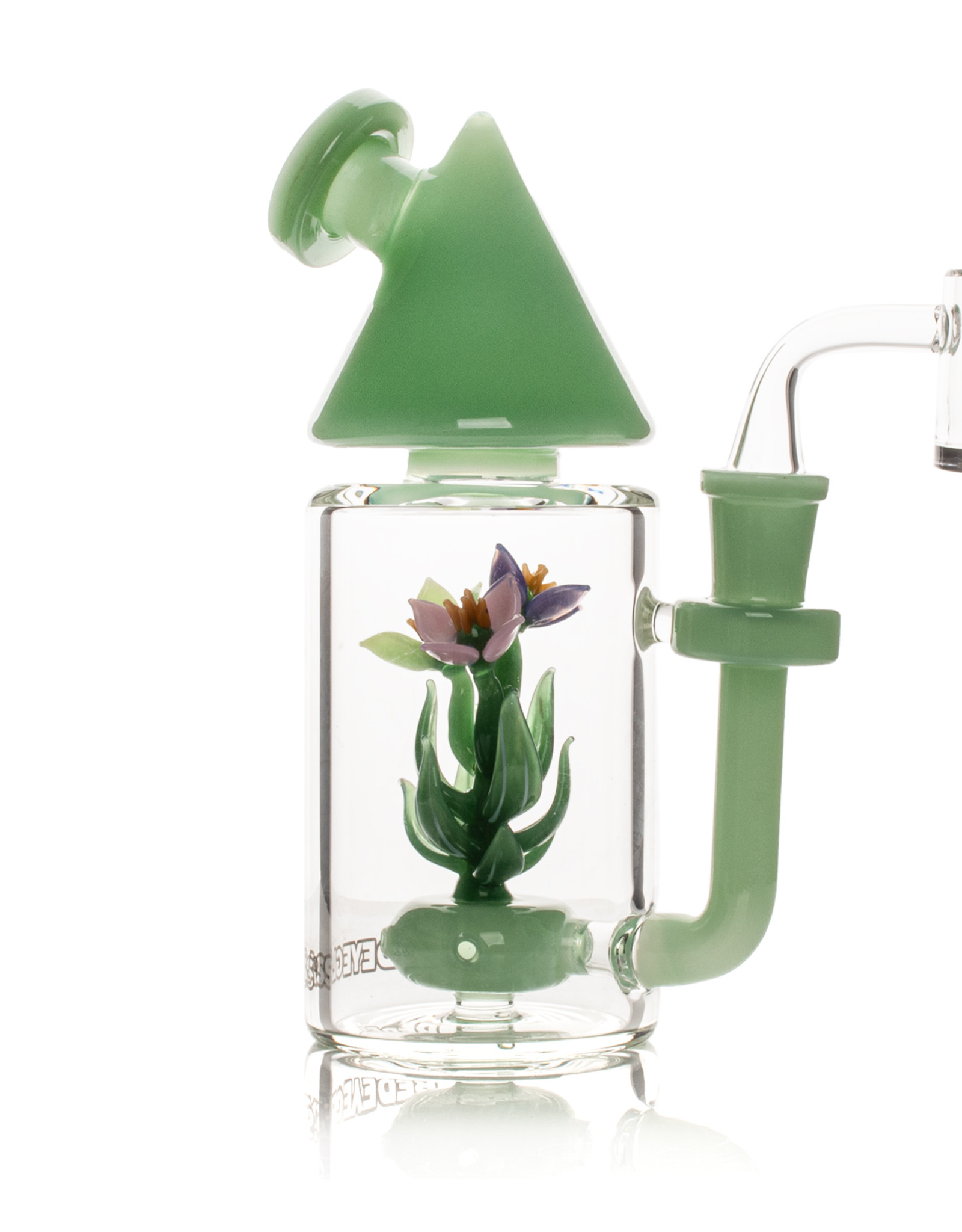 Red Eye Glass 7" Terrarium Rig by Red Eye Glass