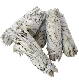 White Sage Smudge Stick - Medium (5")