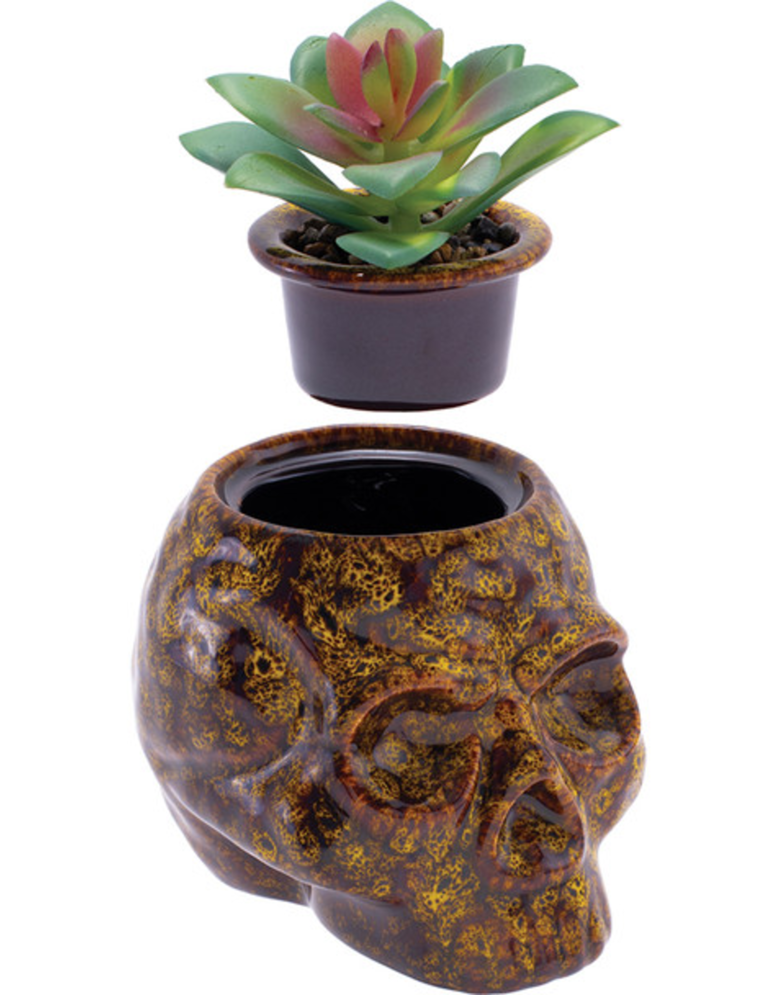 Yellow Skull Planter Ceramic Stash Jar - 4.5"