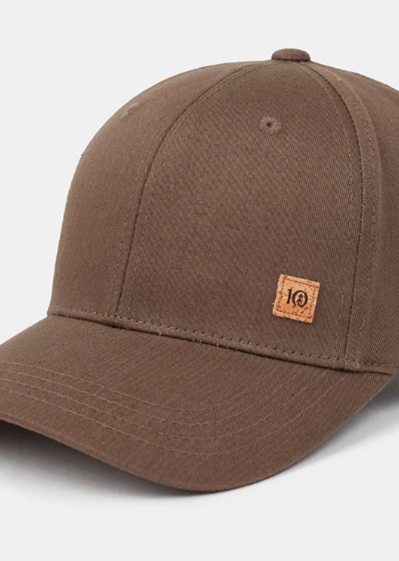 Tentree Cork Icon hat